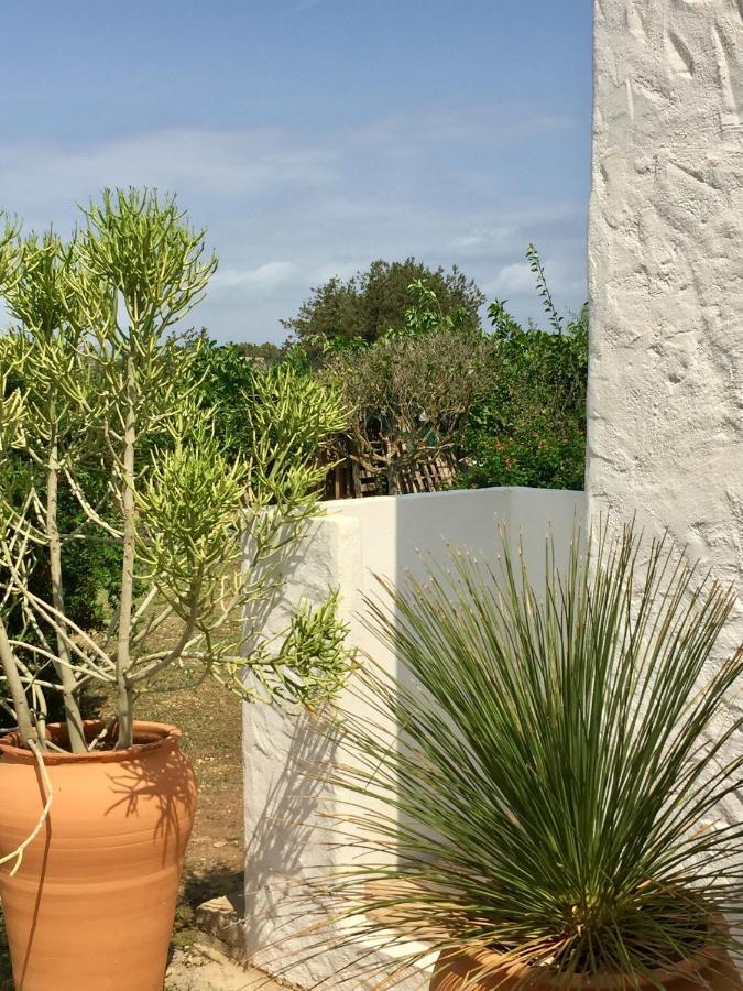 Xicu Castello Ferienhaus Sant Ferran de Ses Roques